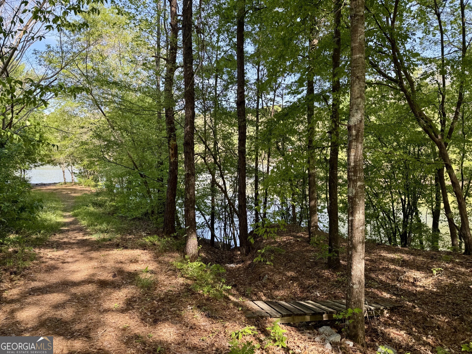 3719 County Road 88 Delta, AL 36258 - Photo 35 of 36 a view of a forest with trees