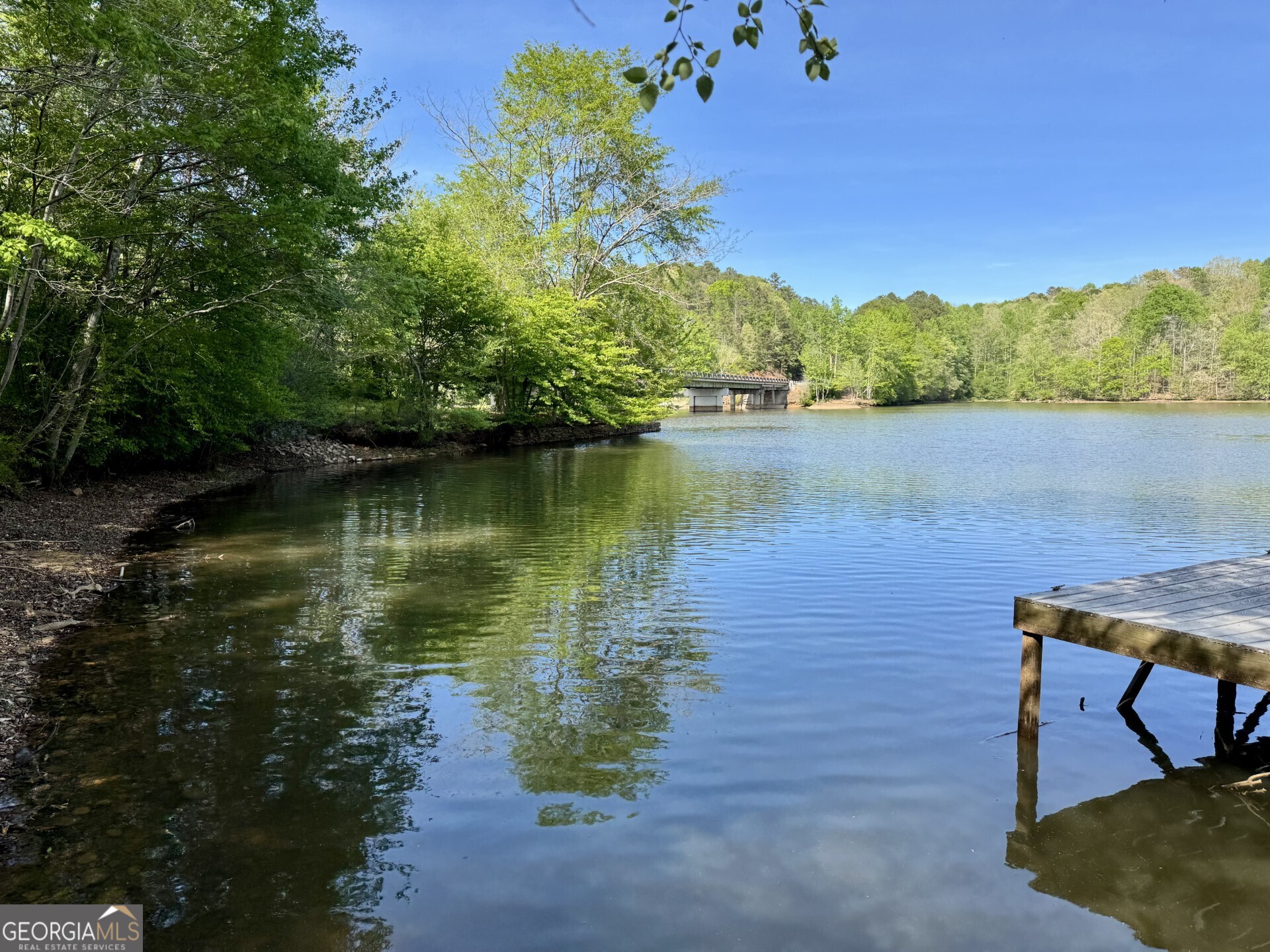 3719 County Road 88 Delta, AL 36258 - Photo 4 of 36 a view of a lake from a yard