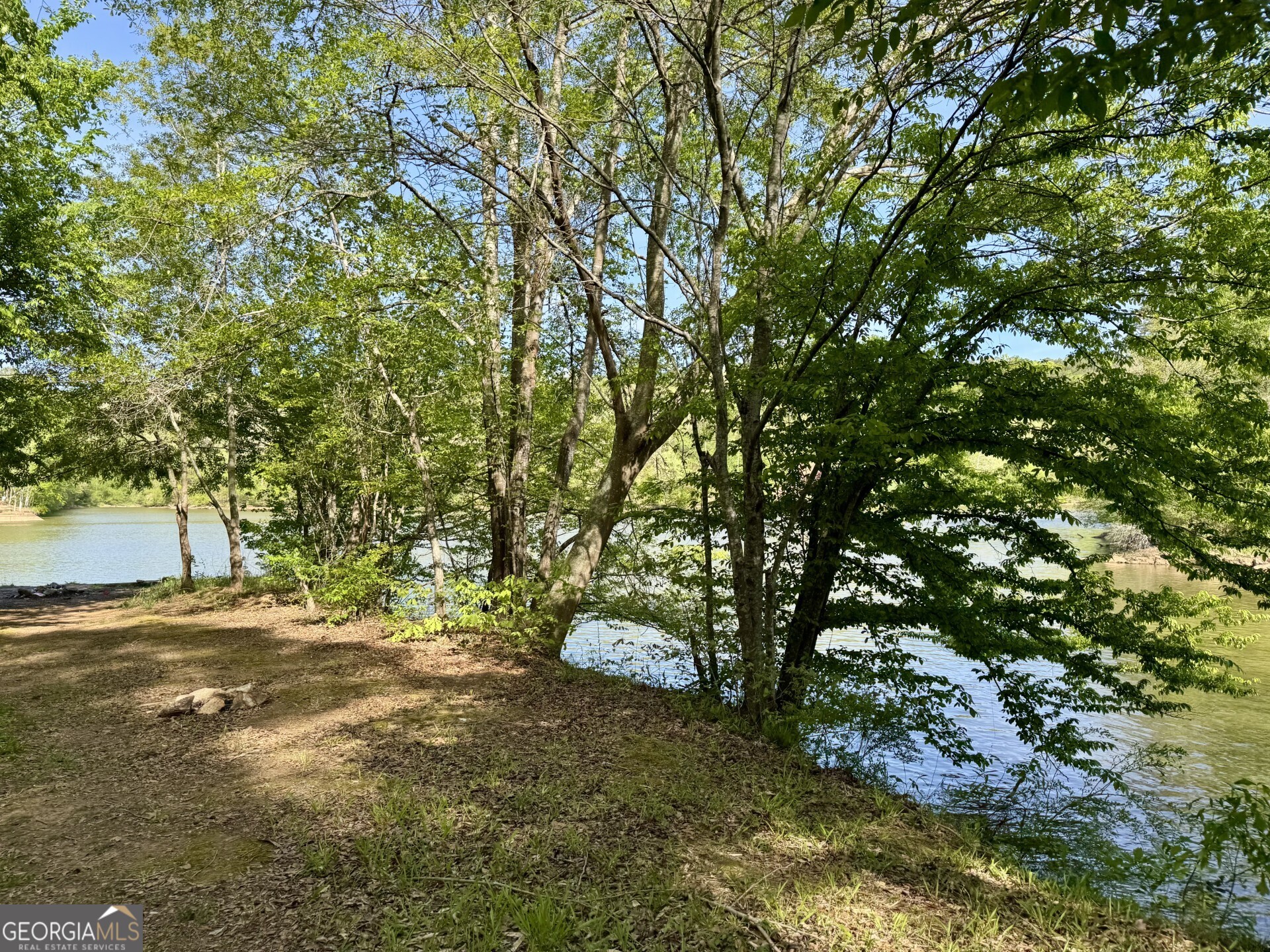 3719 County Road 88 Delta, AL 36258 - Photo 5 of 36 a backyard of a house with lots of green space