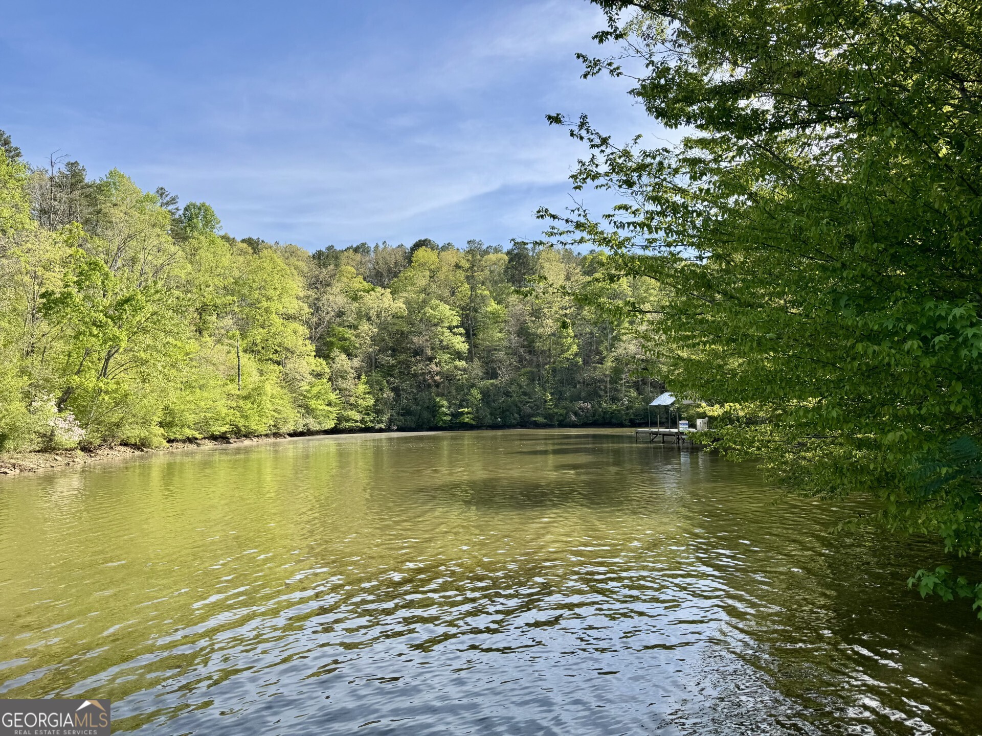 3719 County Road 88 Delta, AL 36258 - Photo 6 of 36 a view of a lake with a mountain in the background
