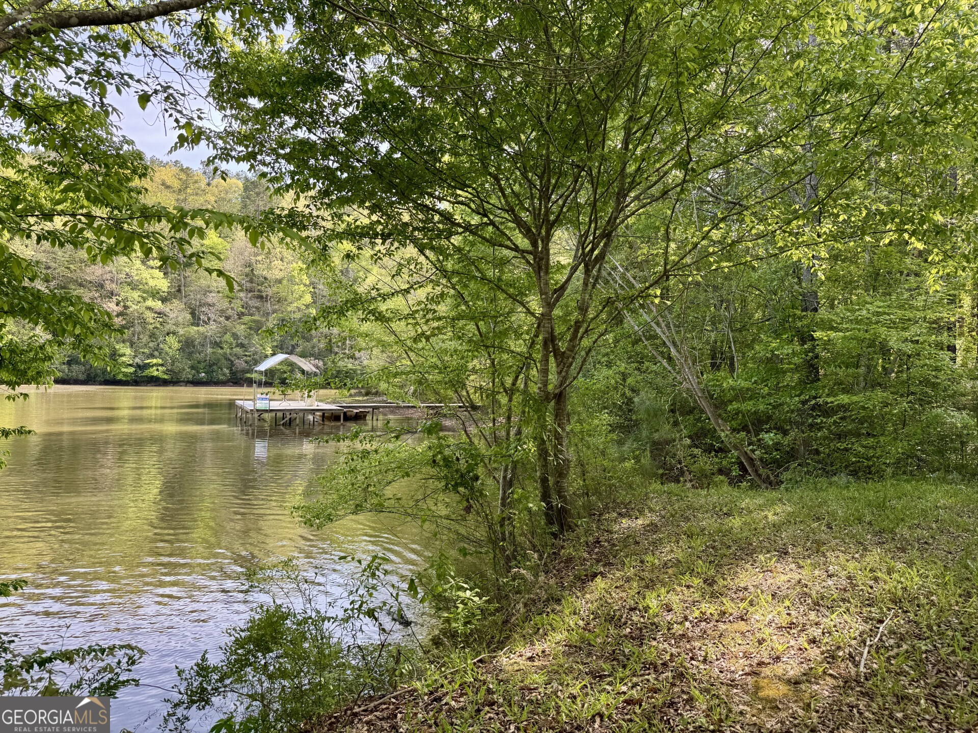 3719 County Road 88 Delta, AL 36258 - Photo 7 of 36 a view of a lake view
