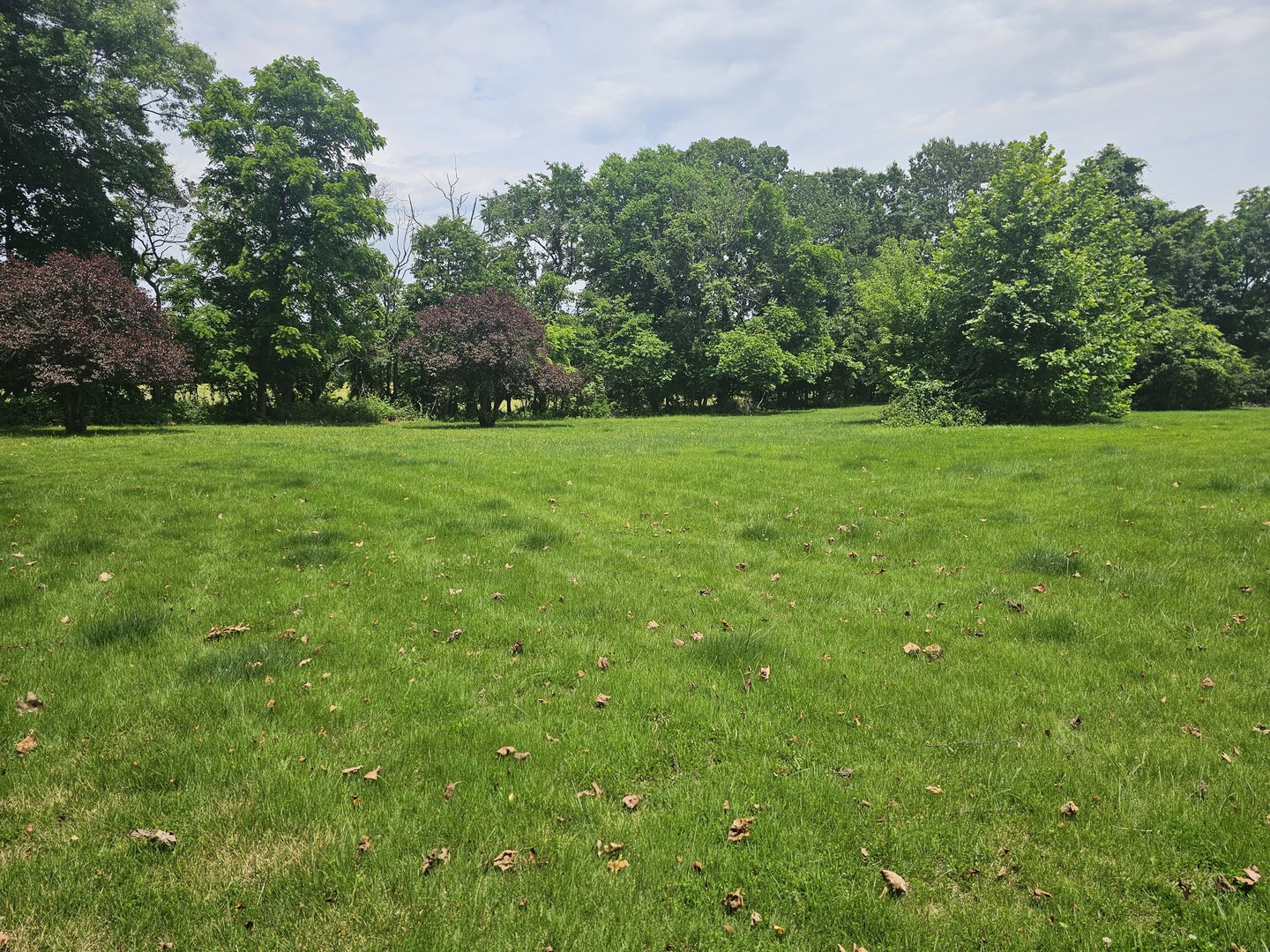 14230 East Windsong Road Mount Vernon, IL 62864 - Photo 16 of 33