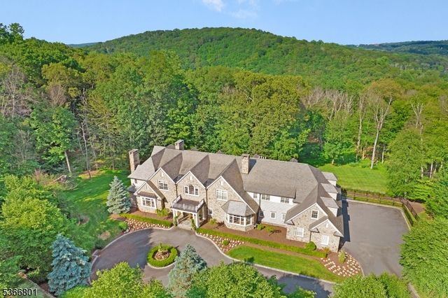 an aerial view of a house with yard and green space