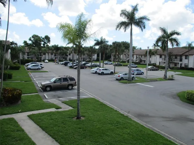 a row of palm trees sitting in a yard with swimming pool