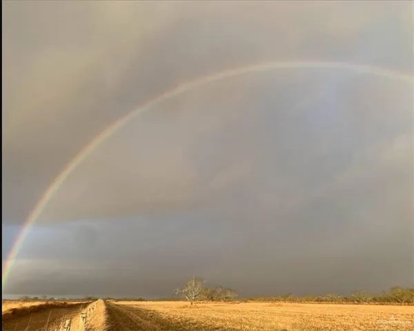 a view of bed and small yard