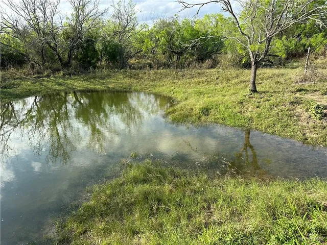a view of a lake with a yard