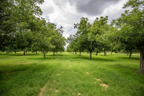 $1,100,000 | 2432 County Road 402, Falfurrias, TX 78355