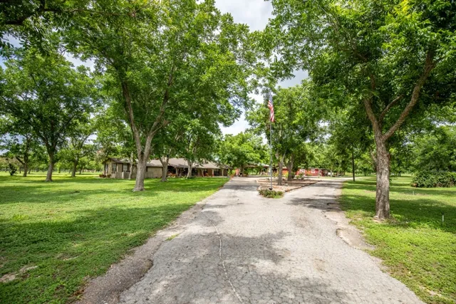 a view of a park with large trees