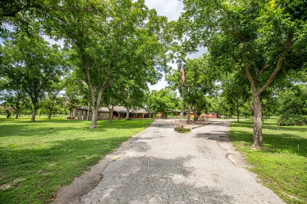 a view of a park with large trees