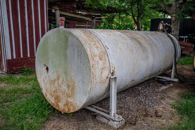 a view of a backyard with plants