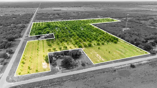 a view of a back yard with plants