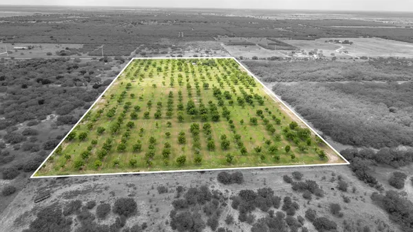 a view of swimming pool
