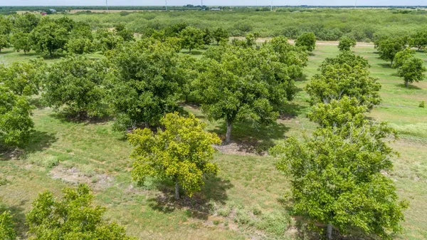 a view of outdoor space with deck and trees