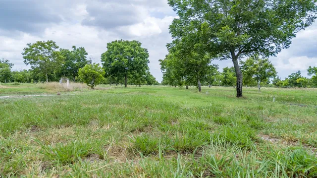 a view of green field with trees in the background