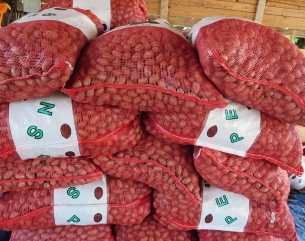 $1,100,000 | 2432 County Road 402, Falfurrias, TX 78355