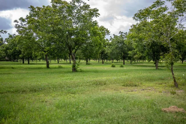 a view of a grassy field with benches and trees all around