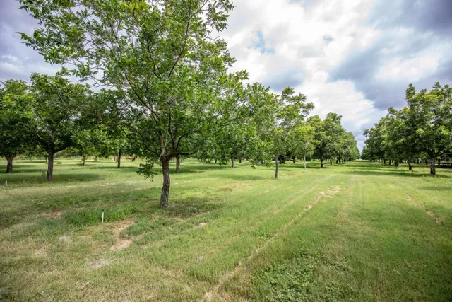 a view of outdoor space with green field and trees