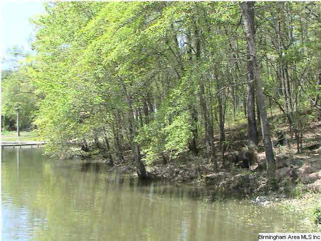 0 Davis Acres Drive, Unit 6 Alpine, AL 35014 - Photo 1 of 1