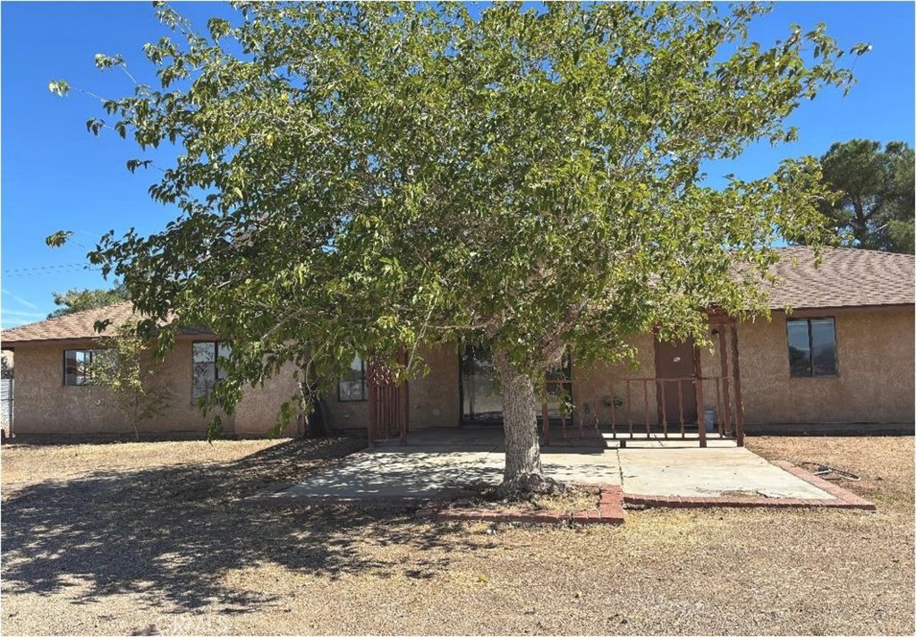 11556 3rd Hesperia, CA 92345 - Photo 21 of 24 a view of a yard with plants and a large tree