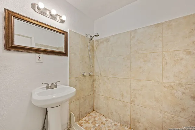 a bathroom with a sink a mirror and a shower