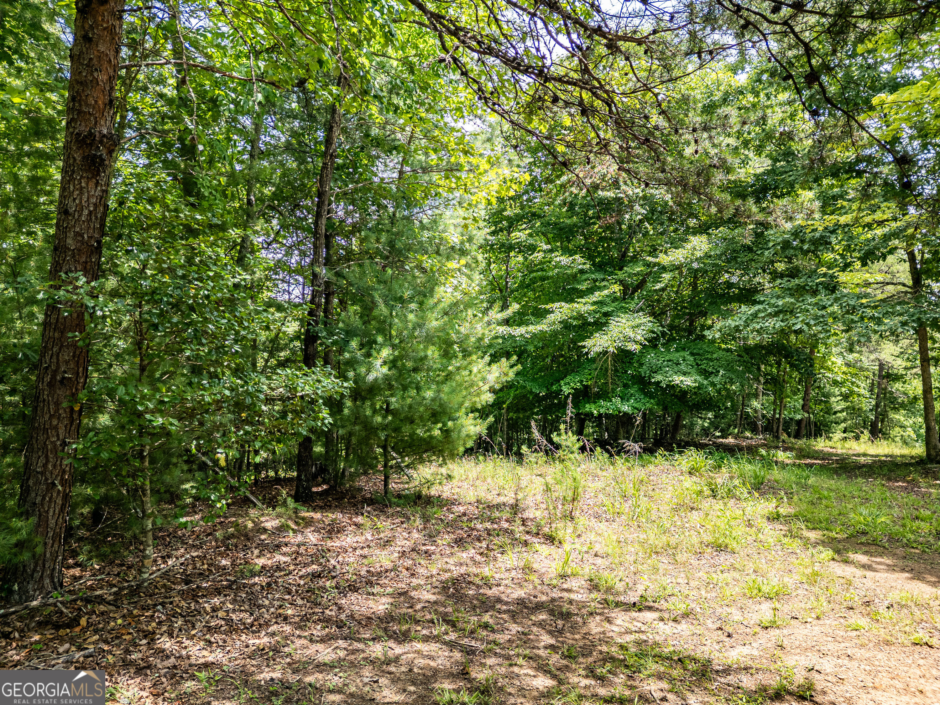2 Stormy Ridge Brasstown, NC 28902 - Photo 4 of 16