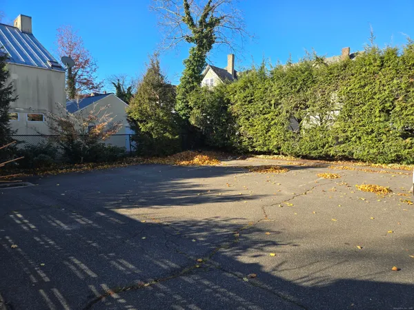 a view of a yard