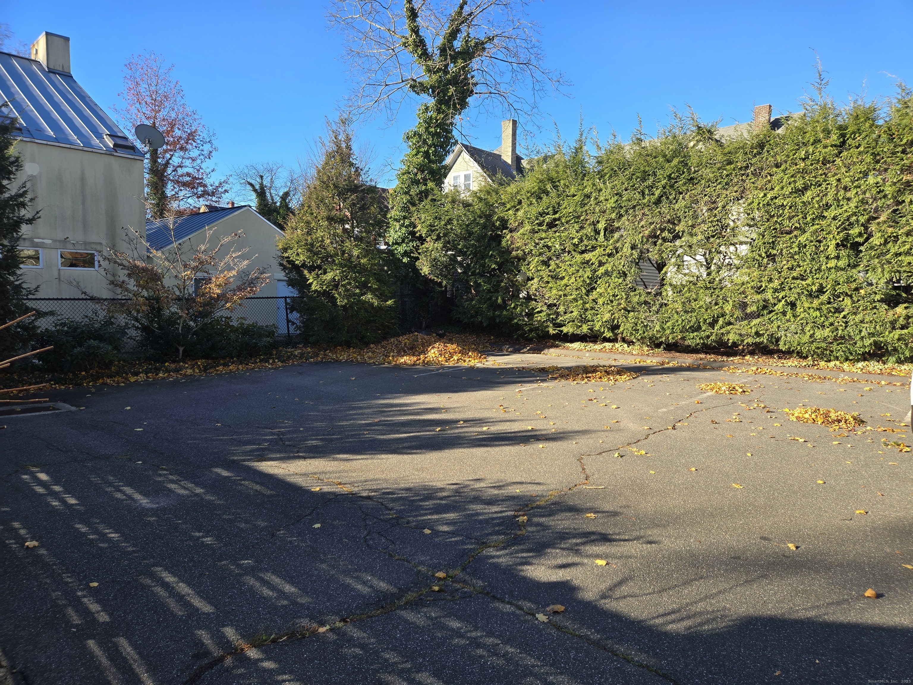 188 Cold Spring Street, Unit 3 New Haven, CT 06511 - Photo 20 of 20 a view of a yard