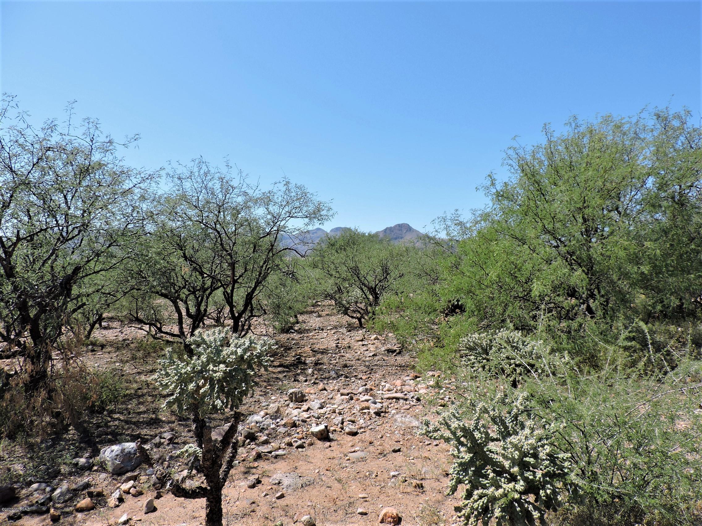 71 Avenida De Las Naciones, Unit 11 Rio Rico, AZ 85648 - Photo 3 of 5