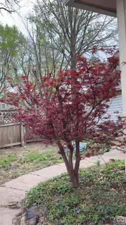 $259,950 | 218 East Perry Street, Rossville, KS 66533