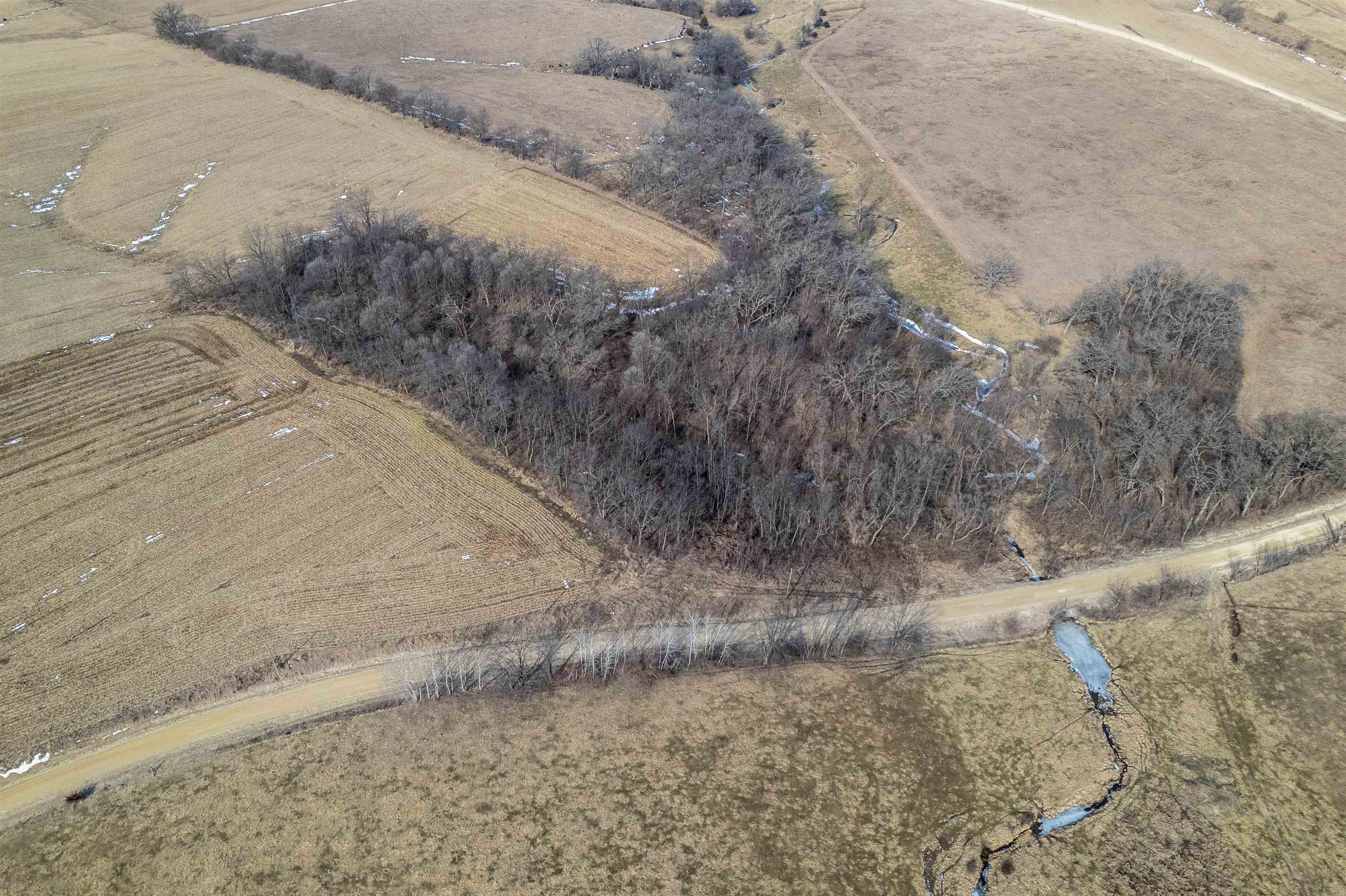 3114 South Rush Creek Road Stockton, IL 61085 - Photo 59 of 76 a view of a dry yard with trees