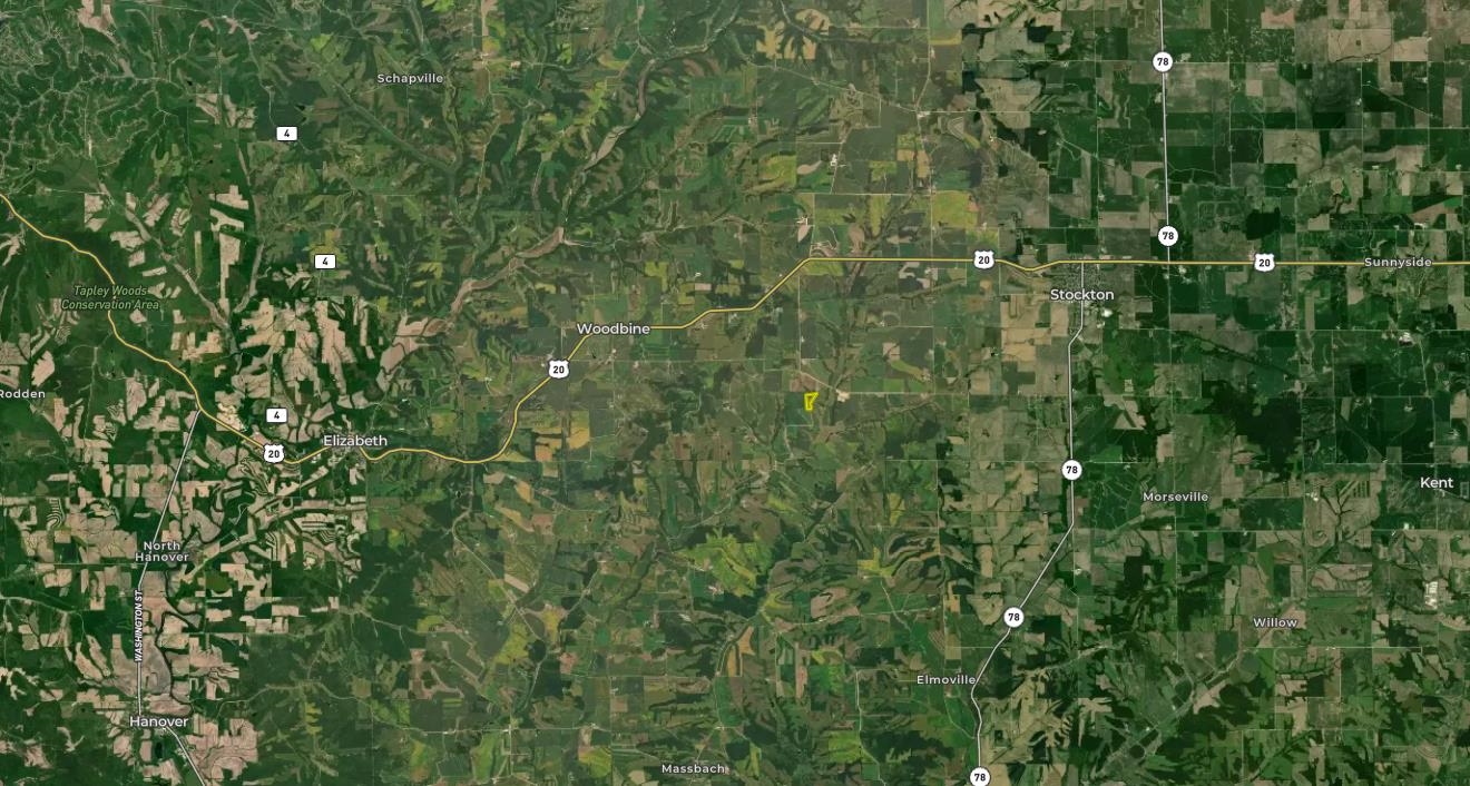 3114 South Rush Creek Road Stockton, IL 61085 - Photo 76 of 76 a view of a lush green forest