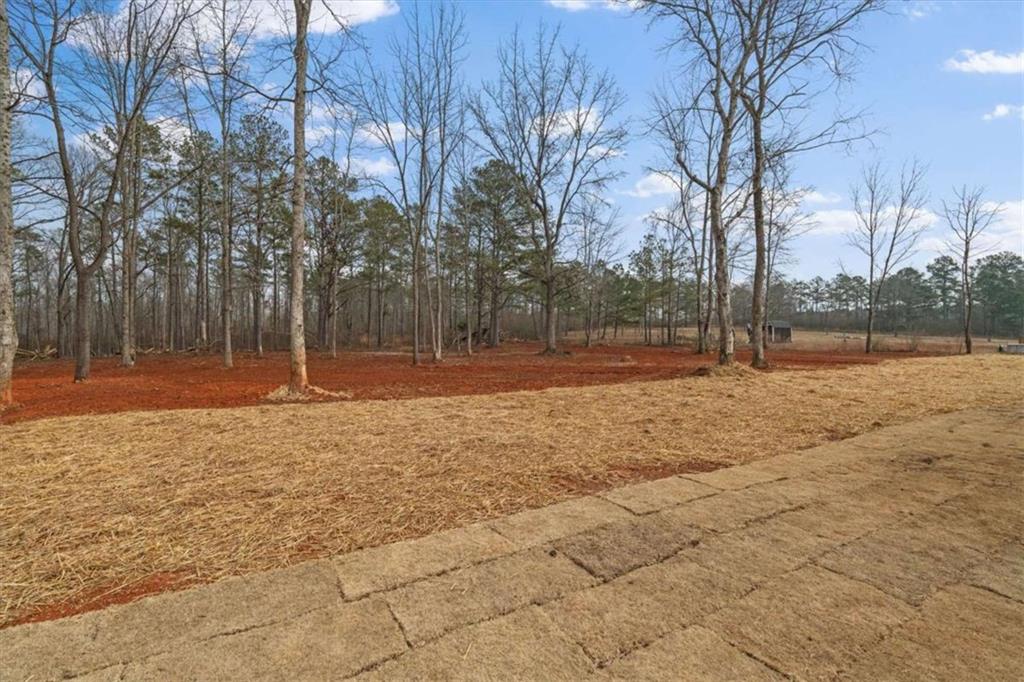 409 Lively Road Waco, GA 30182 - Photo 46 of 50 a backyard of apartments with large trees