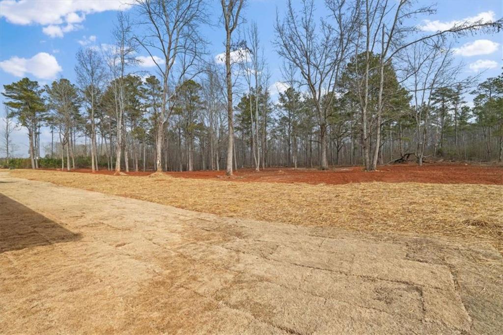 409 Lively Road Waco, GA 30182 - Photo 47 of 50 a view of empty space with trees