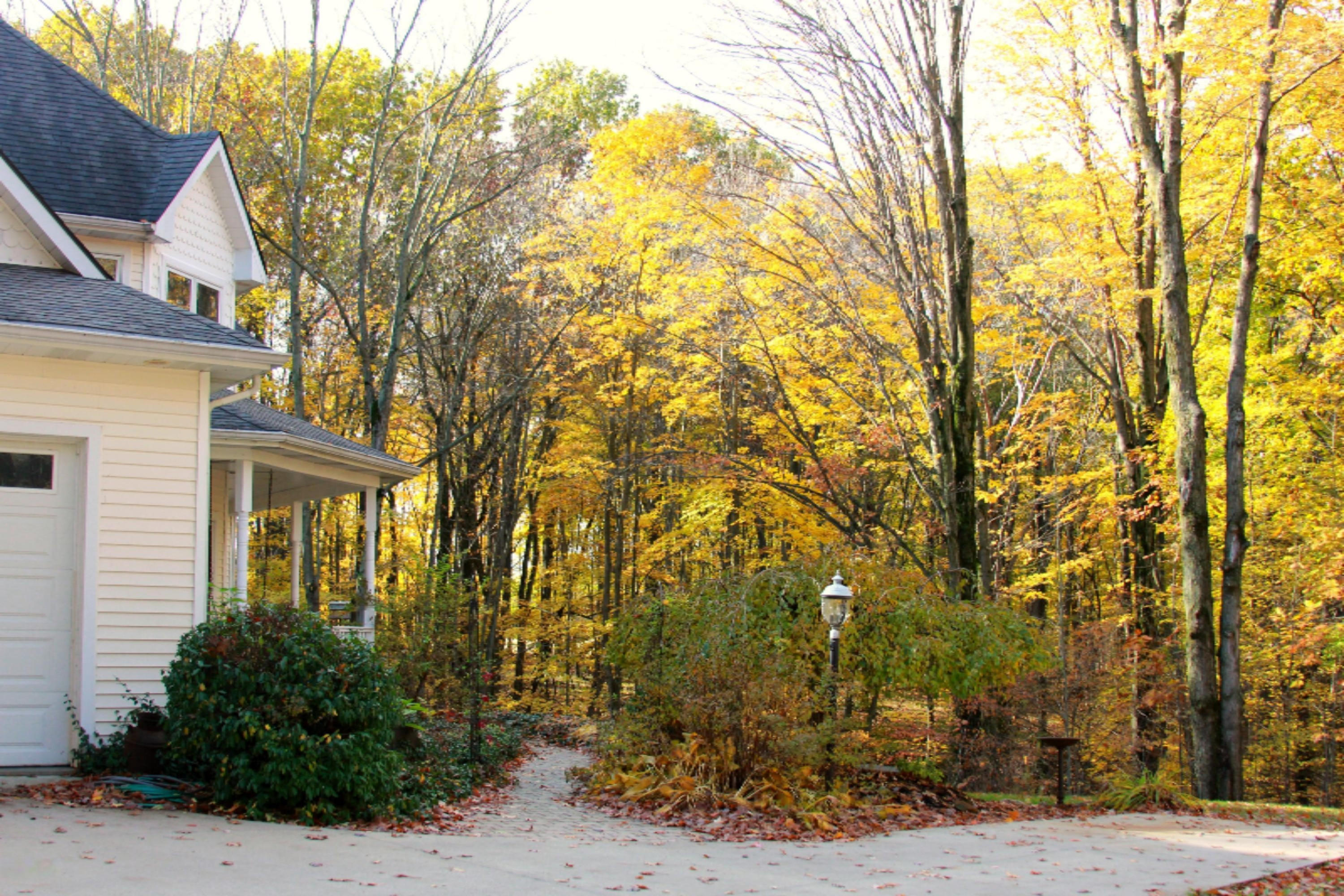 5261 Long Lake Road Reading, MI 49274 - Photo 13 of 49 IMG_3553