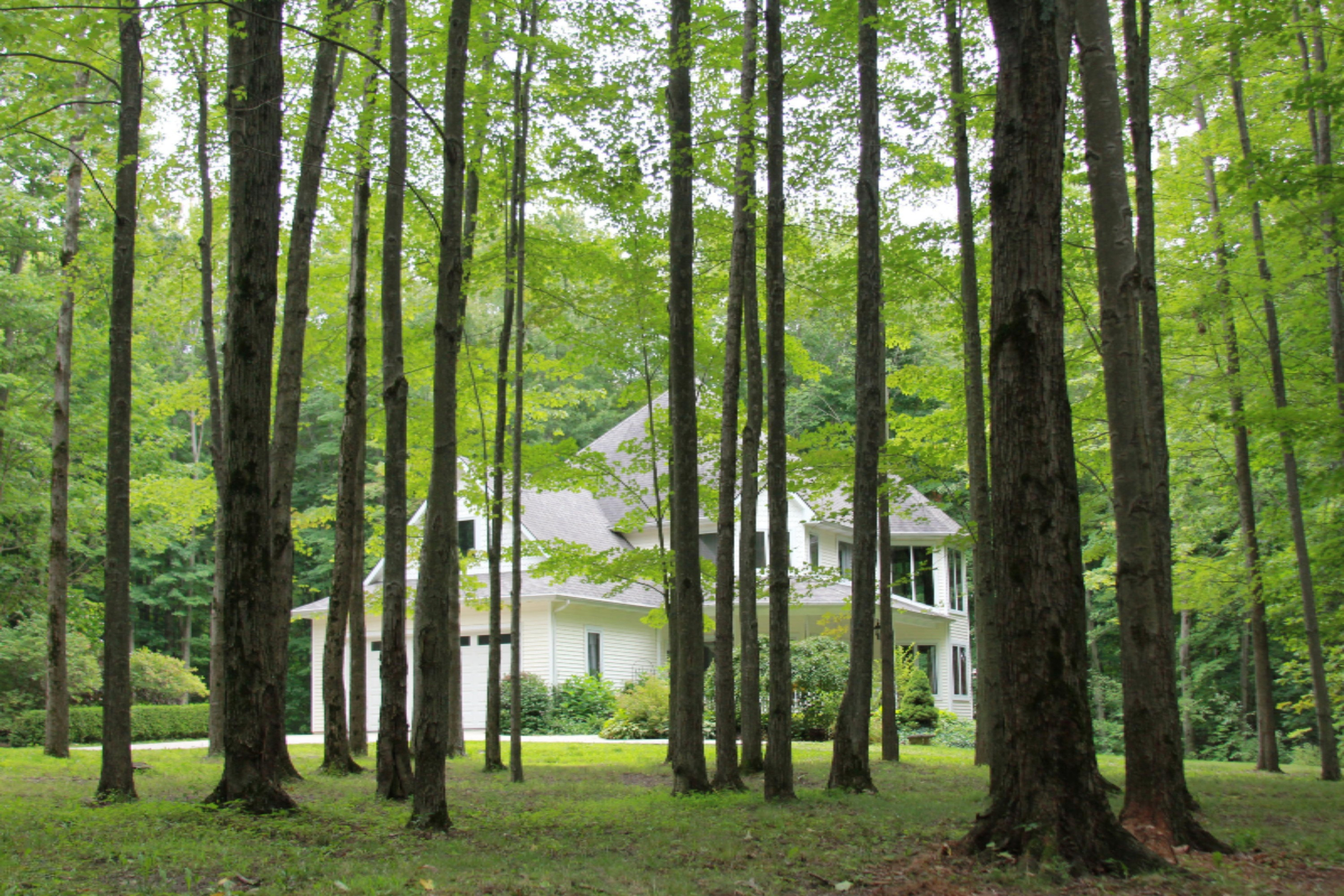 5261 Long Lake Road Reading, MI 49274 - Photo 3 of 49 3