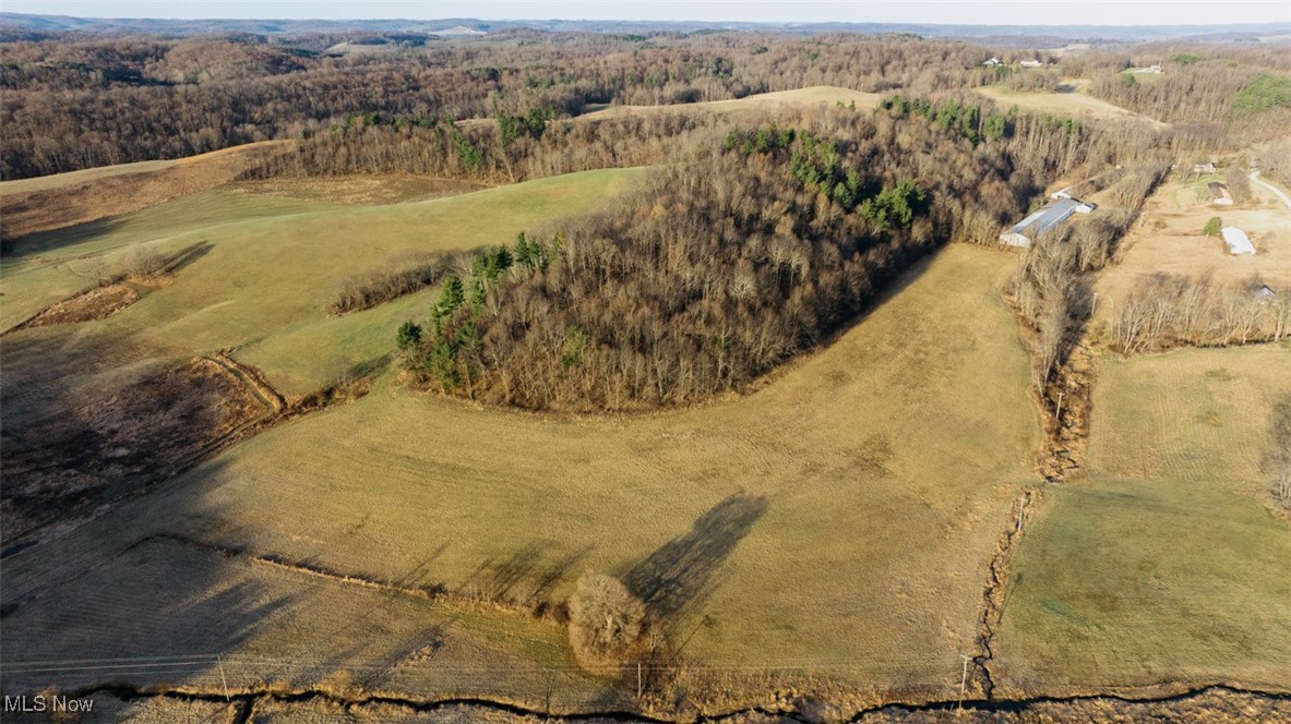 8091 Fargo Road Southwest Dellroy, OH 44620 - Photo 9 of 29 Birds eye view of property