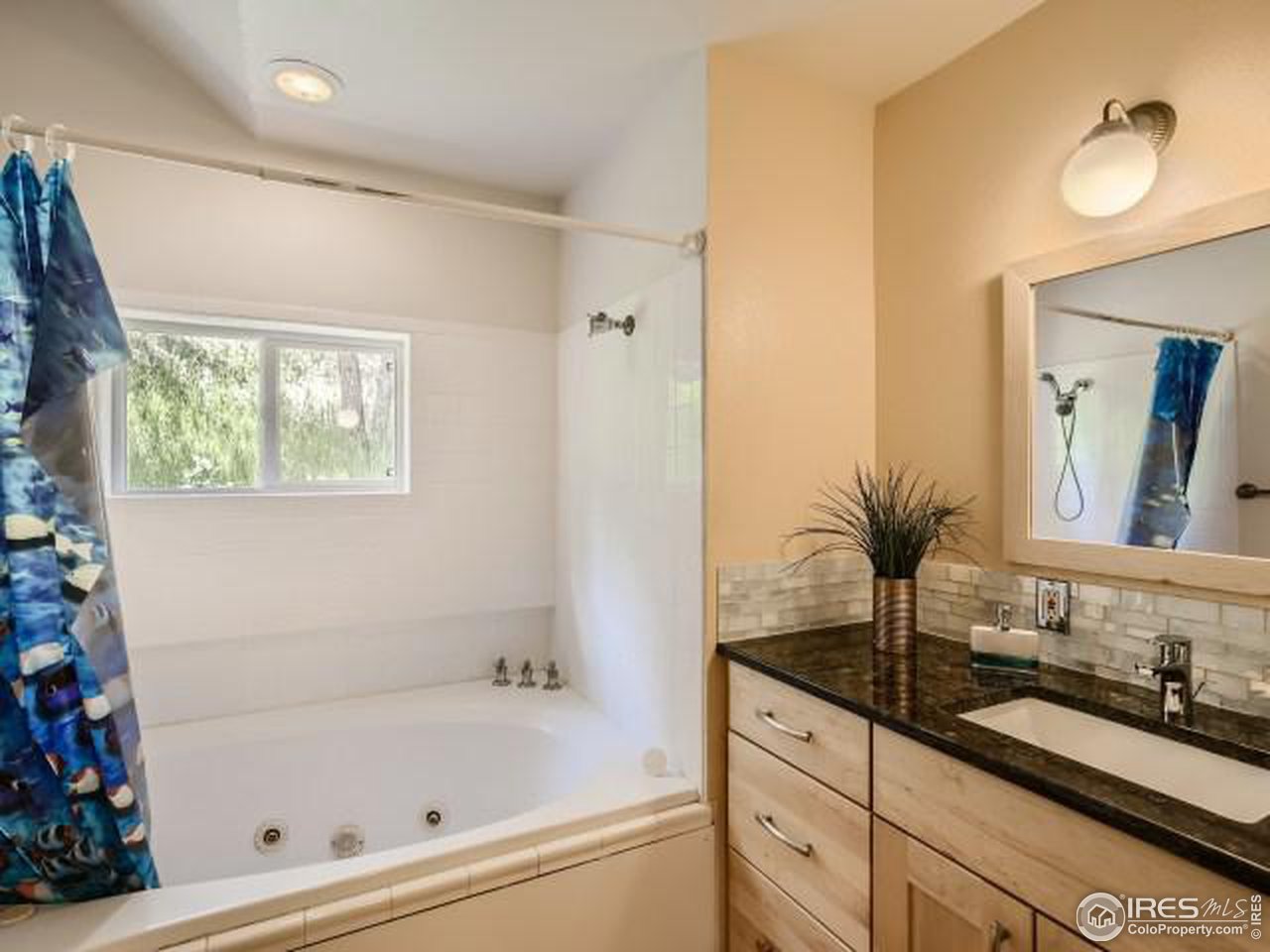 1091 Magnolia Road Nederland, CO 80466 - Photo 20 of 30 Gallery Image 20
