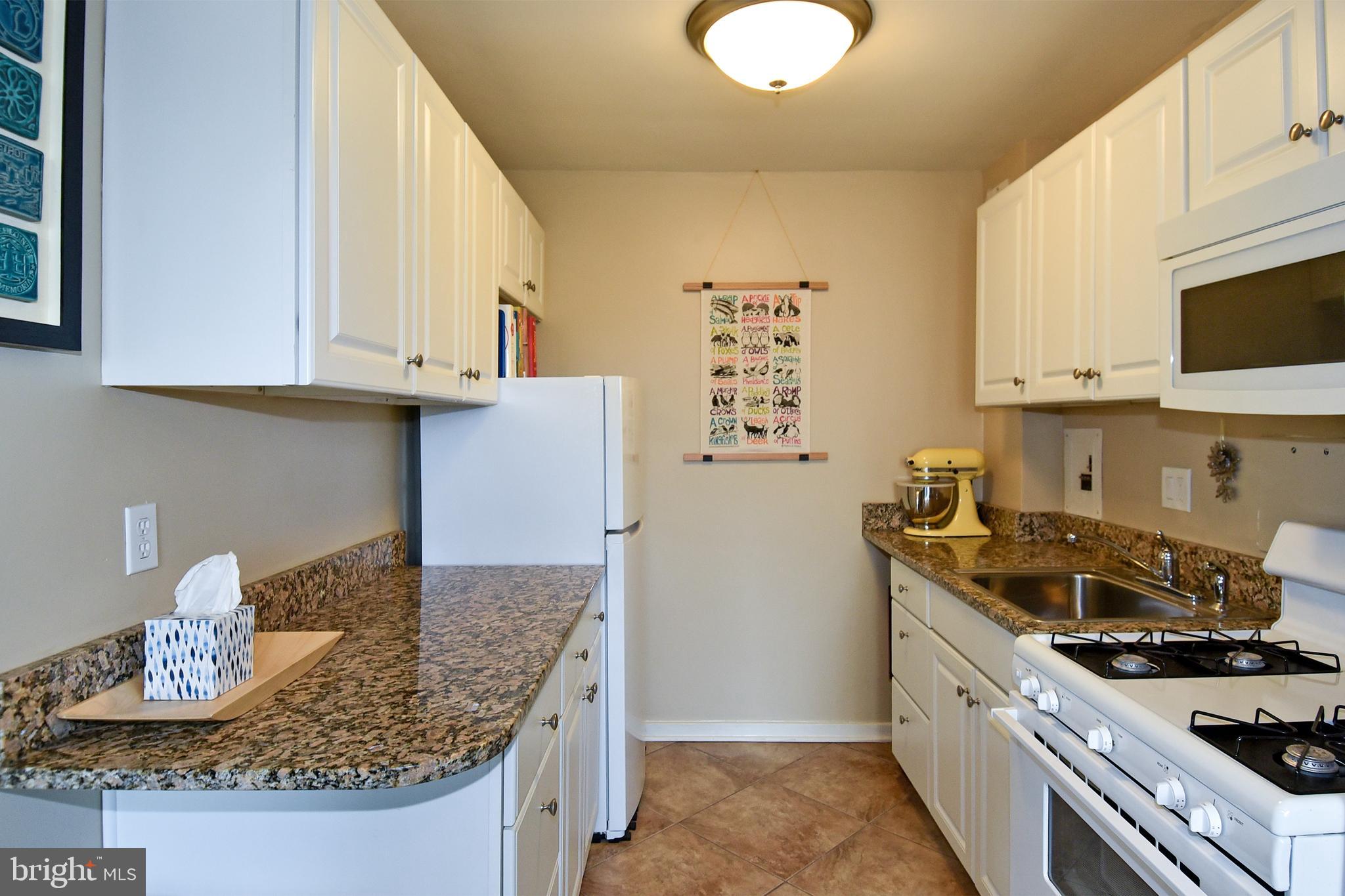 1200 South Arlington Ridge Road, Unit 510 Arlington, VA 22202 - Photo 15 of 32 a kitchen with granite countertop a sink a stove and cabinets