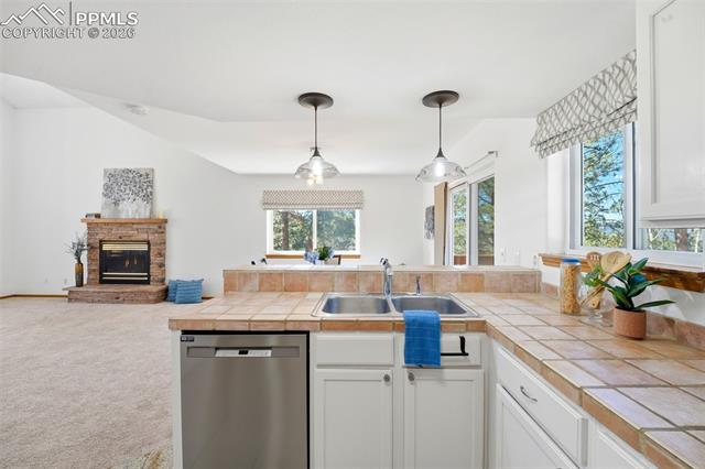 1100 Pine Ridge Road Woodland Park, CO 80863 - Photo 9 of 49