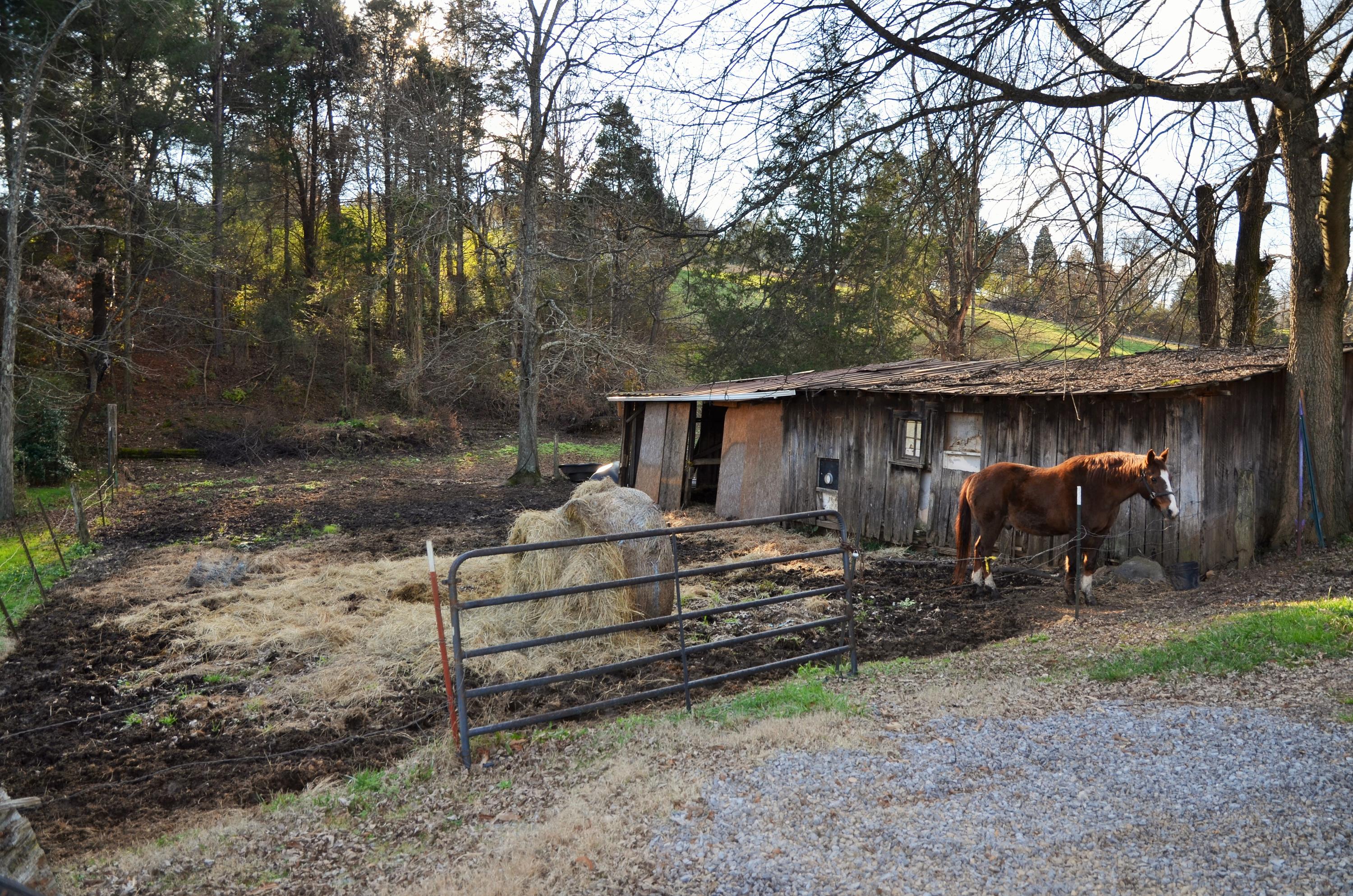 8113 Heiskell Road Powell, TN 37849 - Photo 14 of 16 Field