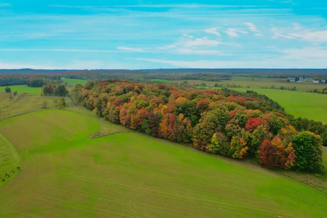 $549,900 | N9615 Badish Road, Daggett, MI 49821