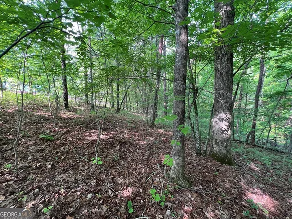 $119,400 | 9-acre Leonard Lane, Murphy, NC 28906