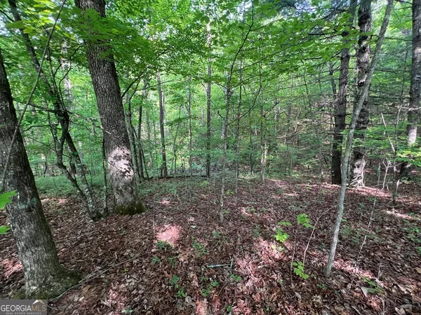 $119,400 | 9-acre Leonard Lane, Murphy, NC 28906