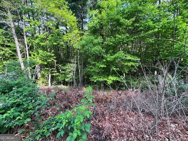 $119,400 | 9-acre Leonard Lane, Murphy, NC 28906