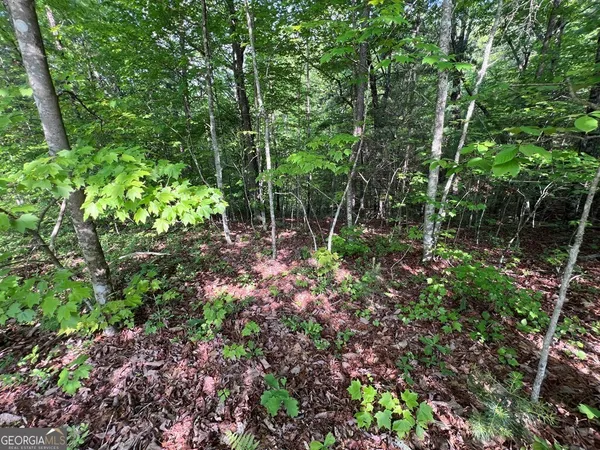 $119,400 | 9-acre Leonard Lane, Murphy, NC 28906