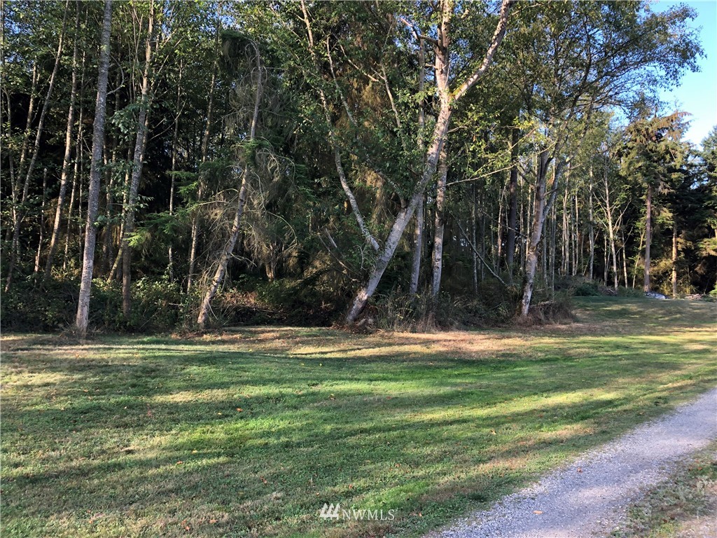 2 Peters Road Greenbank, WA 98253 - Photo 2 of 20 Gallery Image 2
