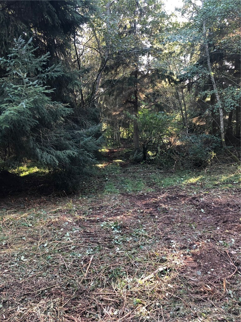 2 Peters Road Greenbank, WA 98253 - Photo 4 of 20 Gallery Image 4