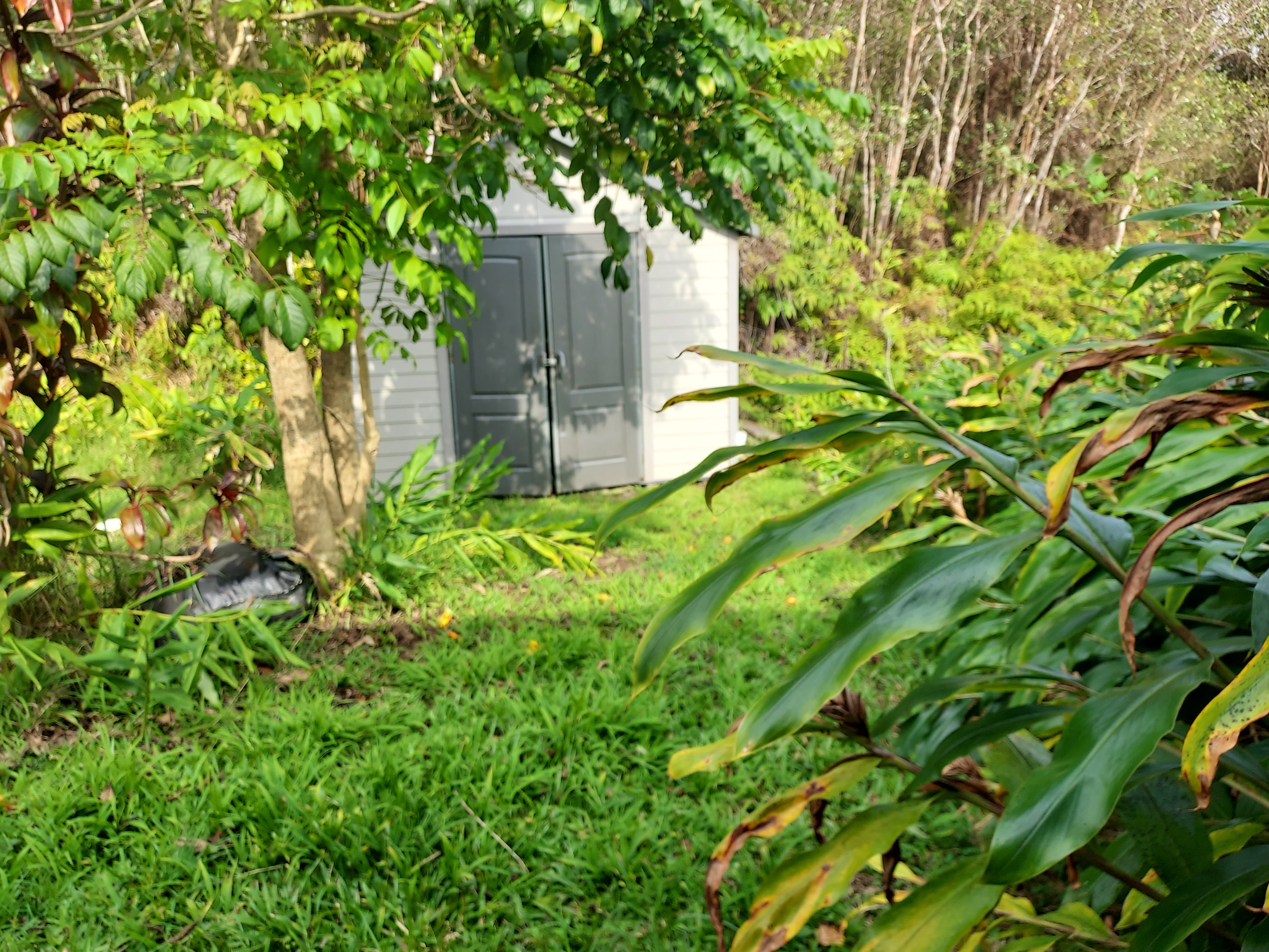 18-4100 Heno Street Mountain View, HI 96771 - Photo 19 of 21