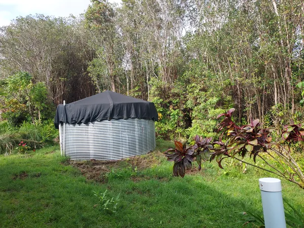a view of a backyard with plants and a garden
