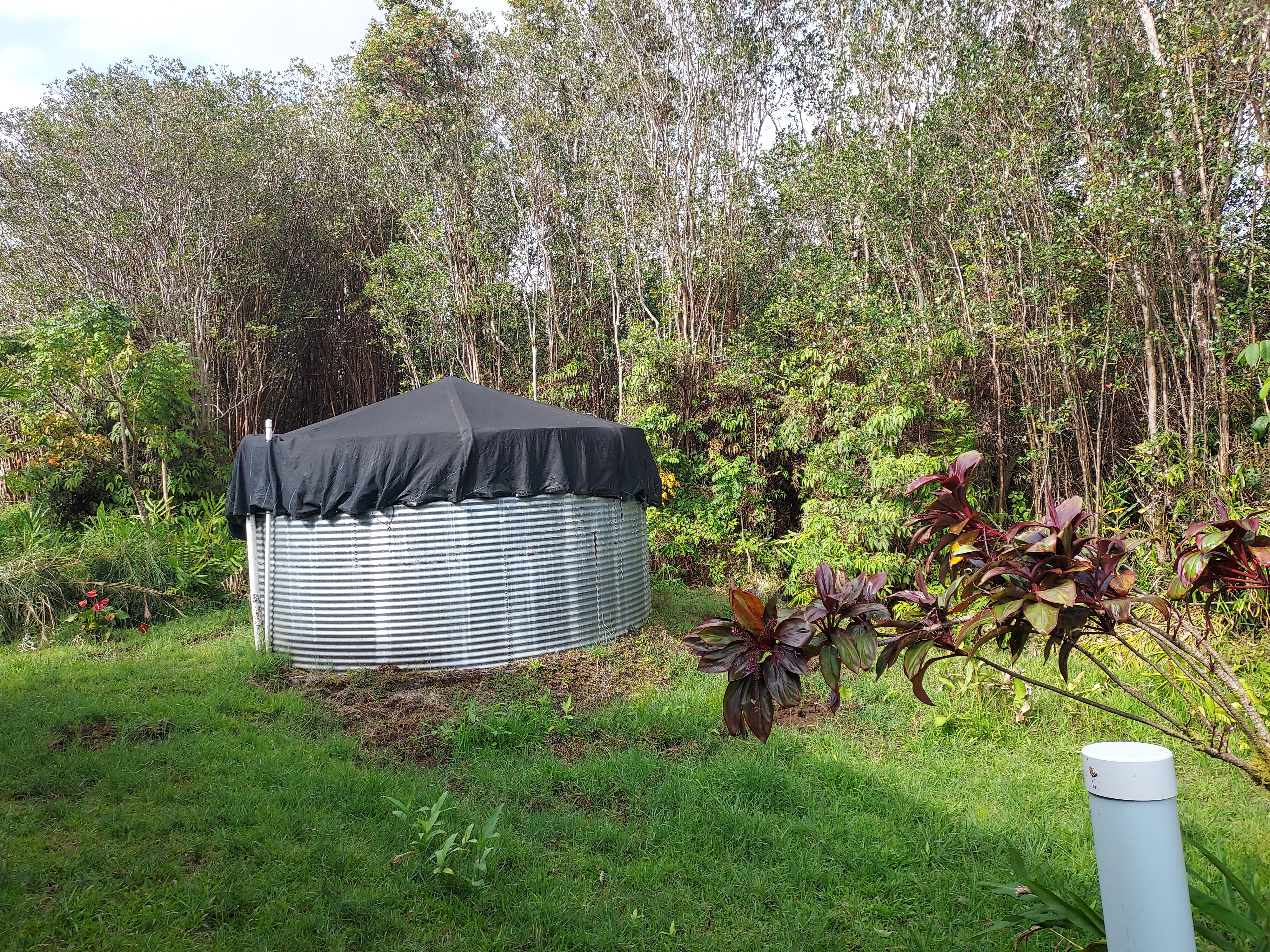 18-4100 Heno Street Mountain View, HI 96771 - Photo 20 of 21